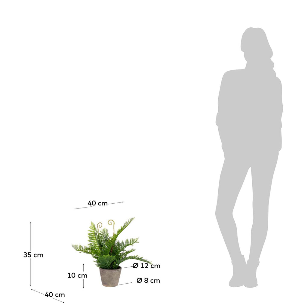 Filicopsida artificial plant