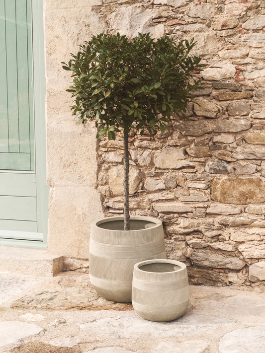 Tival set of 2 beige cement-effect planters Ø 50cm/Ø 34cm