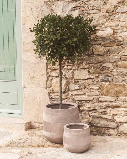 Tival set of 2 beige cement-effect planters Ø 50cm/Ø 34cm