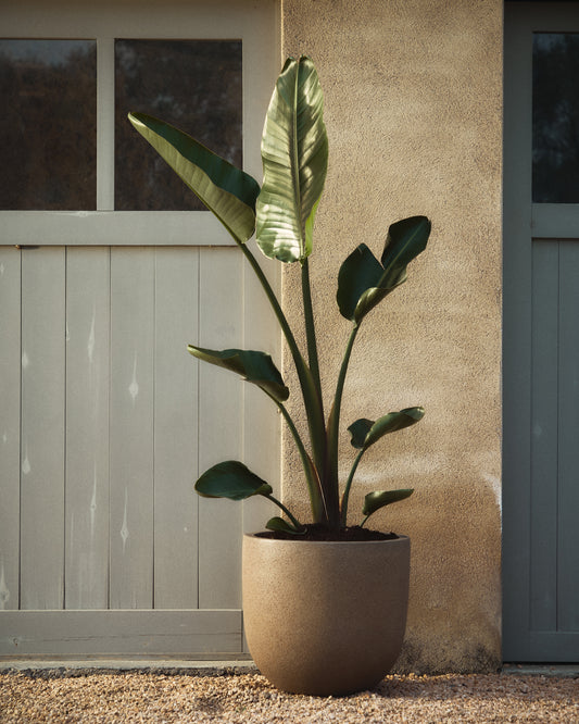Selvi set of 2 planters with light brown stone effect Ø 37cm