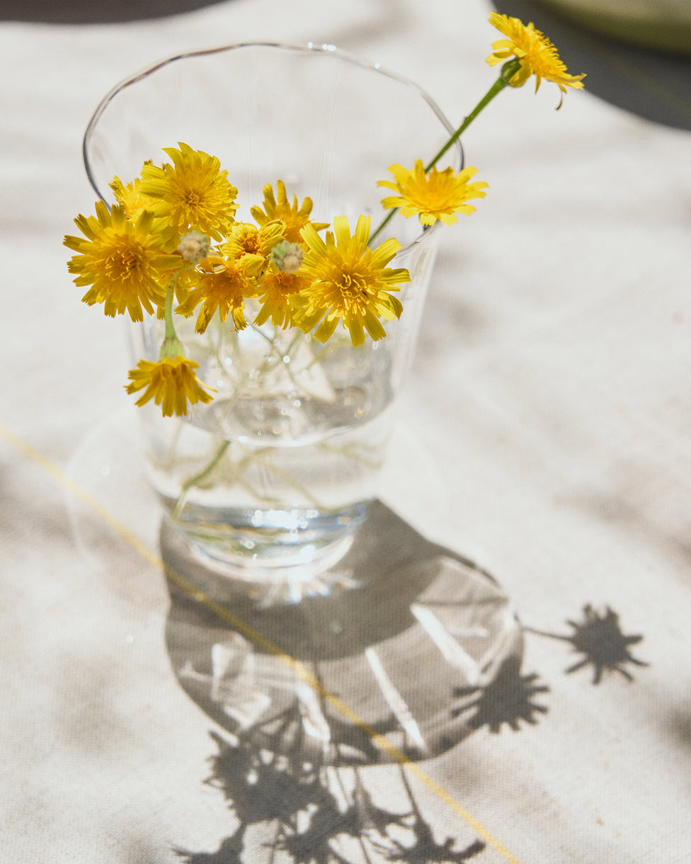 Neia clear glass cup, 14.5 cl